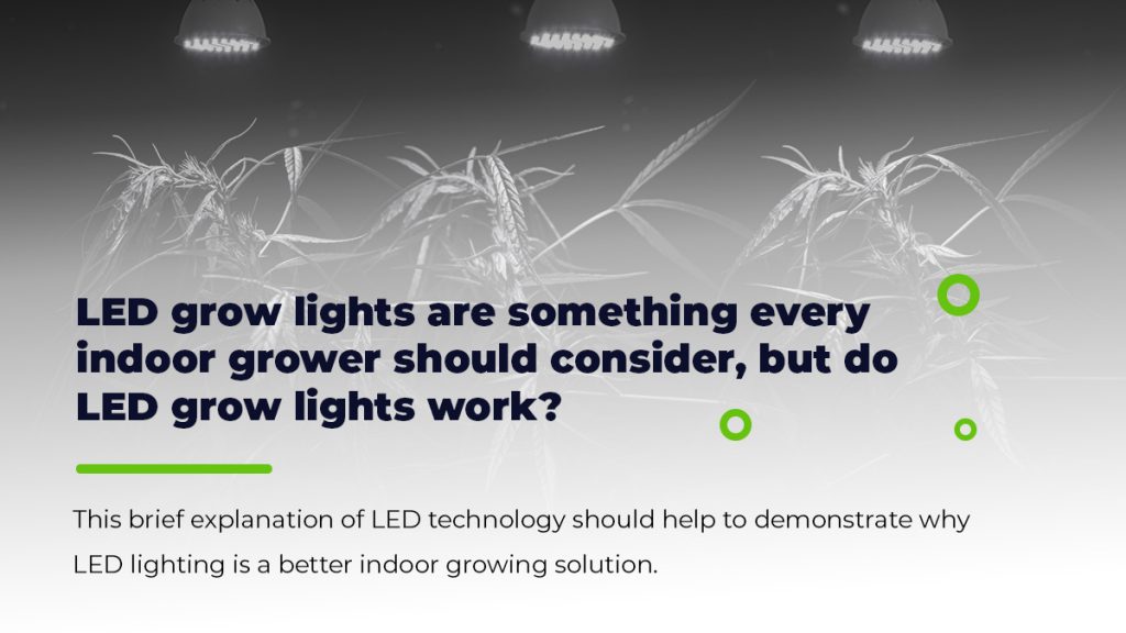 Do LED Growing Lights Work