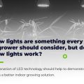 Do Growing LED Lights Work