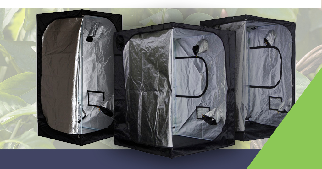 Best Grow Tent for the Money