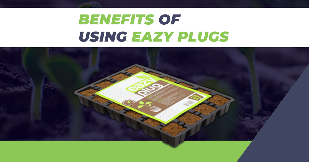 Benefits of Using Easy Plugs