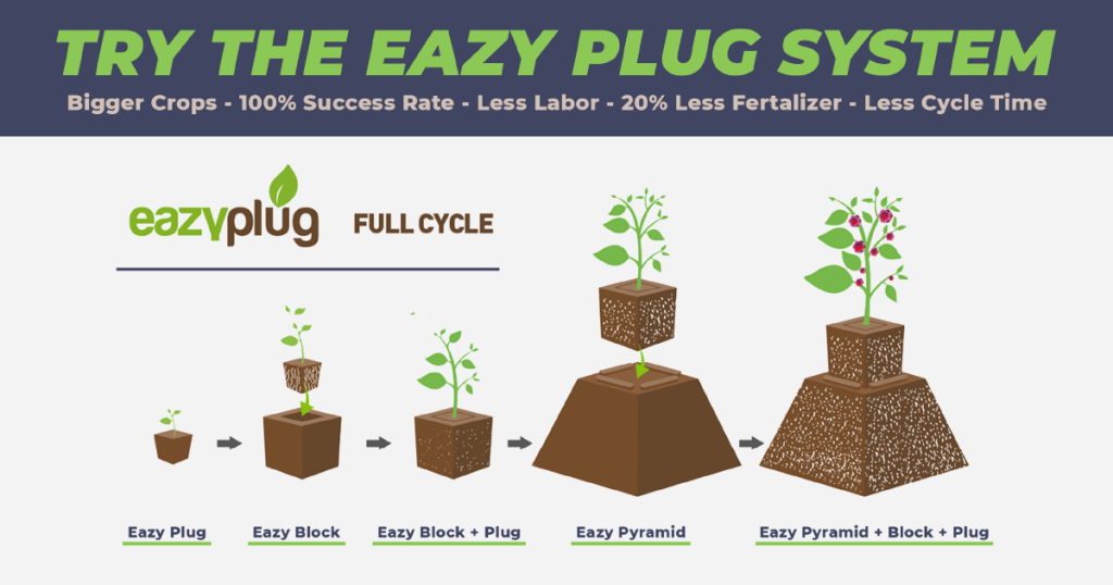 How to Use Eazy Plugs, Eazy Blocks & Eazy Pyramids