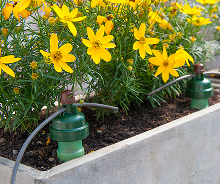 Watering Stakes